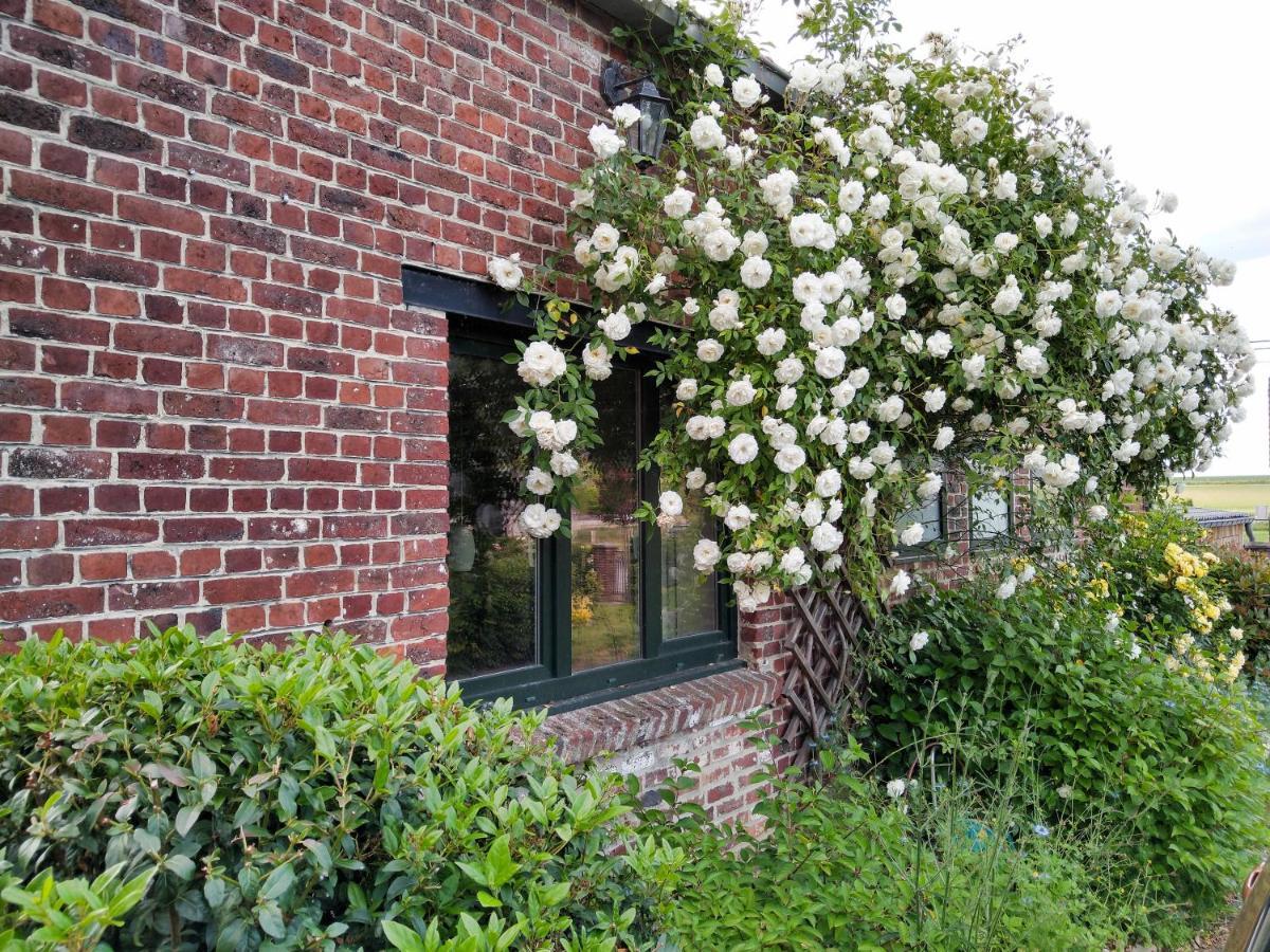 Gite Rural Les Petites Tetes Leuze-en-Hainaut 외부 사진