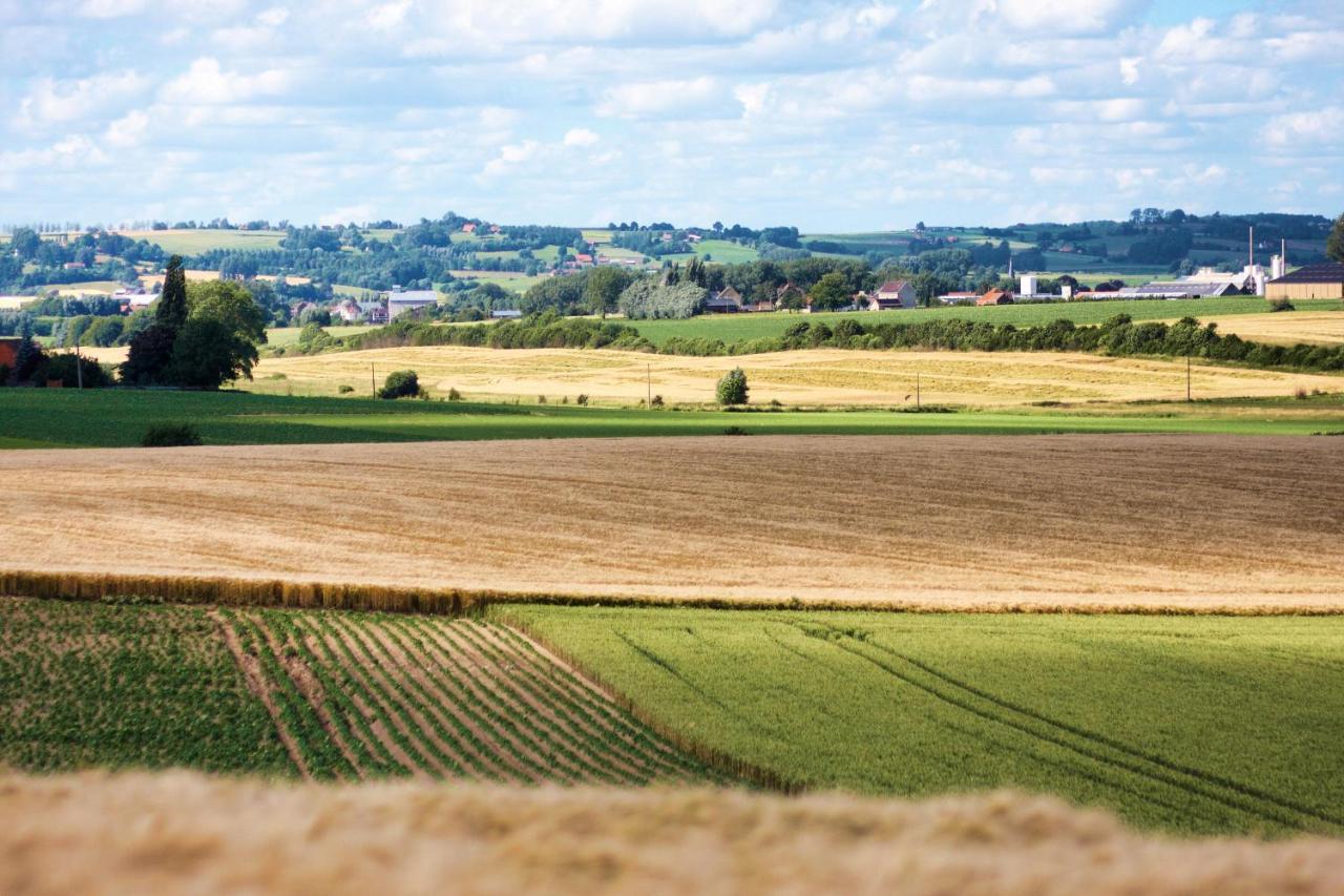 Gite Rural Les Petites Tetes Leuze-en-Hainaut 외부 사진