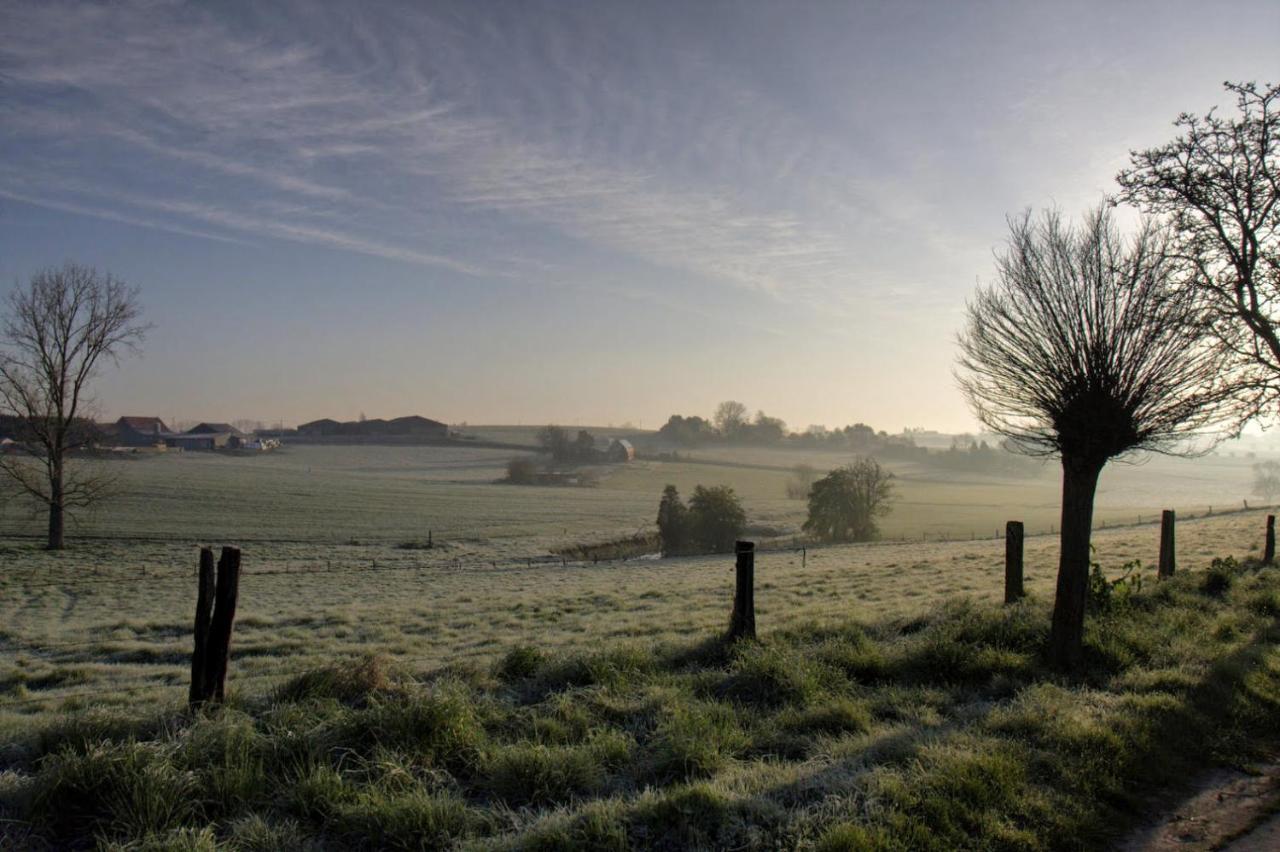 Gite Rural Les Petites Tetes Leuze-en-Hainaut 외부 사진