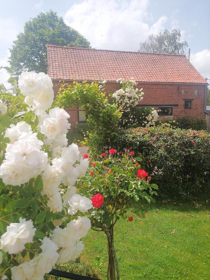 Gite Rural Les Petites Tetes Leuze-en-Hainaut 외부 사진
